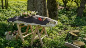 celebration of life or traditional funeral